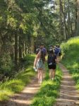 IMG-20250626-WA0031